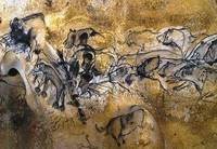 Рис. 3.20. "Парад зверей". Пещера Шове, юг Франции. 31 тыc.л. н. «Колонна» пещерных львиц являет собой успешную попытку изображения перспективы. Многие специалисты считали, что в палеолитической живописи представлены только профильные изображения. В «шеренге» бизонов практически нет ни одного профиля, все головы животных показаны либо анфас, либо в три четверти.