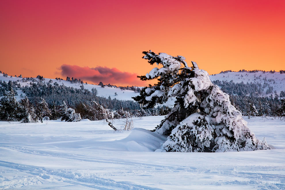 Crimea-winter-landscape-on-Ai-Petri-mountain