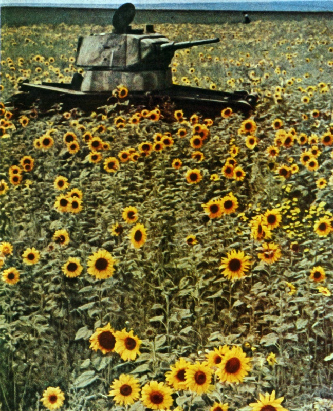 Фотографии Сталинградской битвы. интересное, факты, фото