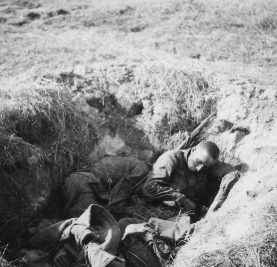 Фотографии с поля битвы ВОВ 1941-1945, СССР, война, германия, зло, неполитика
