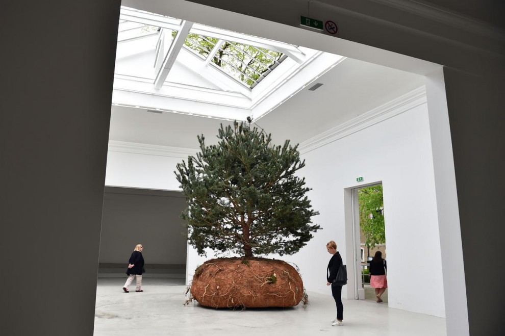 Одно из трёх деревьев, составляющих инсталляцию «Revolutions» французской художницы Celeste Boursier-Mougenot в павильоне Франции биеннале, выставка, искуссво, скульптура, художник