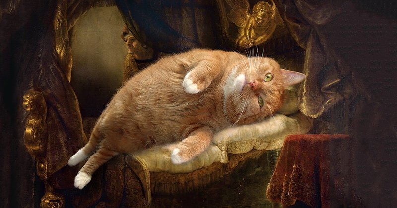30 известных картин, где главной фигурой удачно вписался рыжий толстый кот живопись, забавно, картины