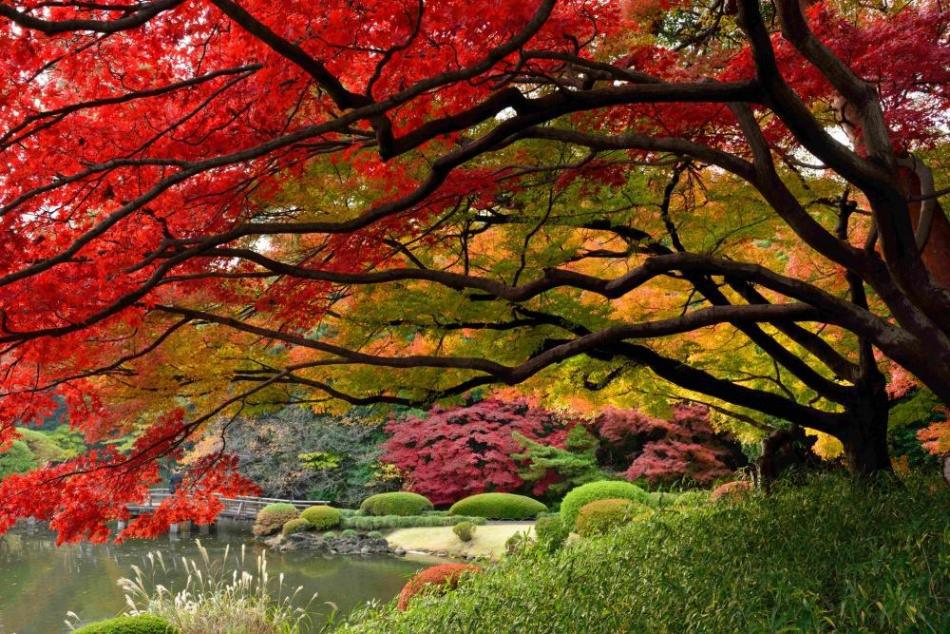 the-stunning-beauty-of-autumn-in-different-parts-of-the-world-21