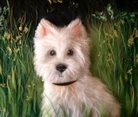 Картина из шерсти "Белый щенок"