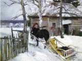Зима. Деревня. Сельский пейзаж. Россия.