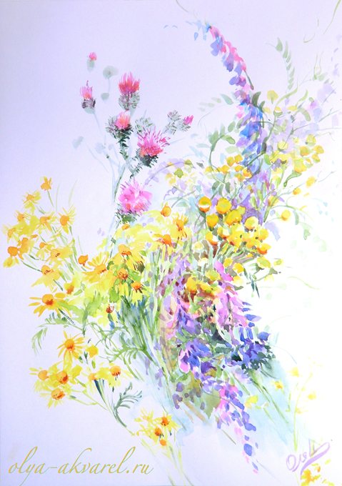 лето полевые цветы на картинах акварель купить живопись у художника Цурина Ольга