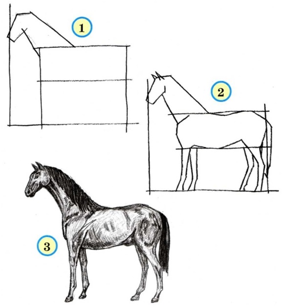 рисовать лошадку