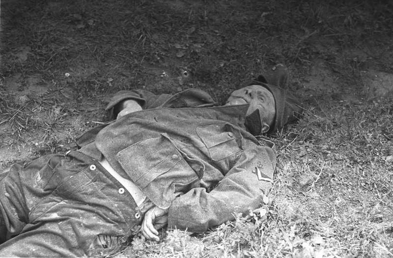  Фото убитого немецкого солдата битва, война, курская