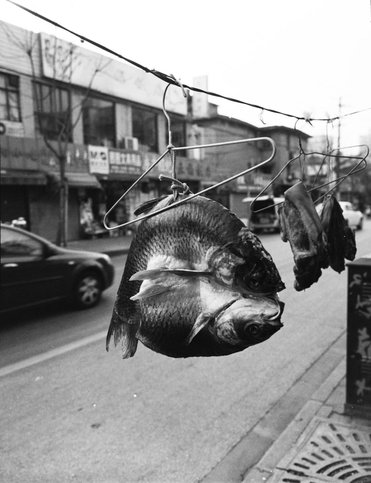 birdhead, Ji Weiyu, Song Tao, shanghai bird head, china contemporary art, china art photography