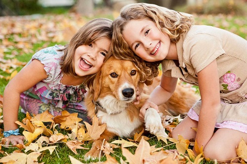 Две девочки и рыжая собака на природе