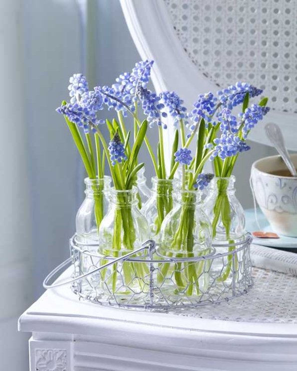 необычайные голубые весенние цветы в вазочке