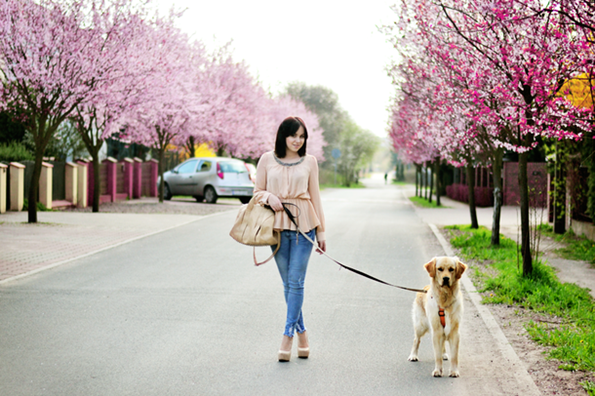 девушка с собачкой в цветущем саду