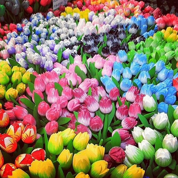 разноцветные тюльпаны красочная весенняя картинка