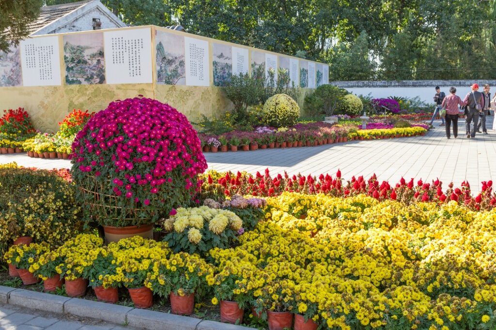 Выставка хризантем, история парка Юаньминъюань