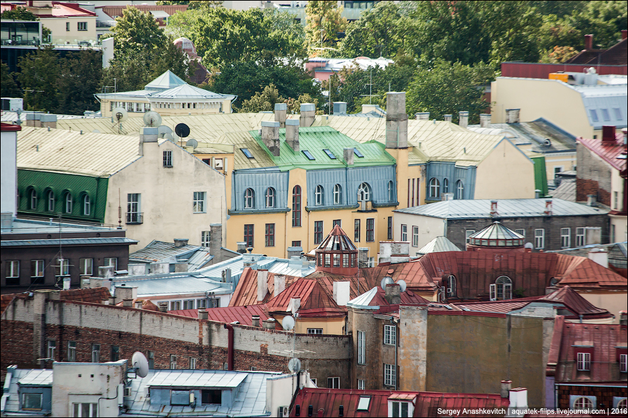 Таллинские крыши