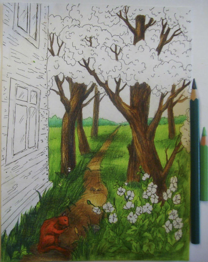Как нарисовать пейзаж цветными
карандашами, шаг 9