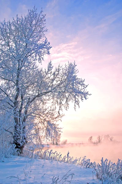 Речная зима — стоковое фото