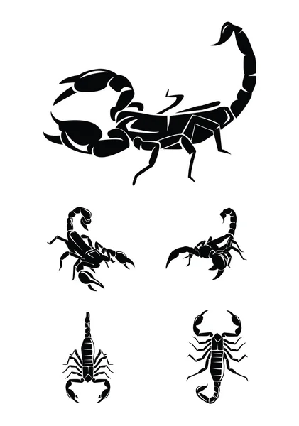 Векторные иллюстрации набора сбора скорпиона — стоковый вектор