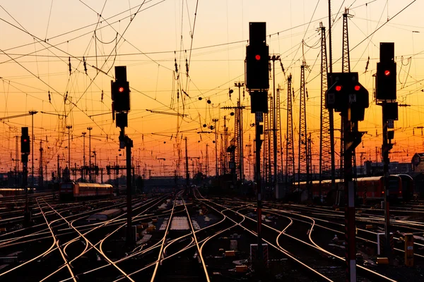 Железнодорожные пути на закате — стоковое фото