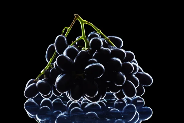 Гроздь винограда изолированные — стоковое фото