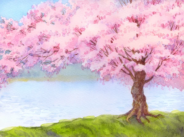Акварельный пейзаж. Цветущее дерево на берегу озера — стоковое фото