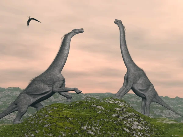 Брахиозавр динозавров бороться - 3d визуализация — стоковое фото