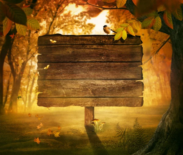 Осенний дизайн - лес знак — стоковое фото
