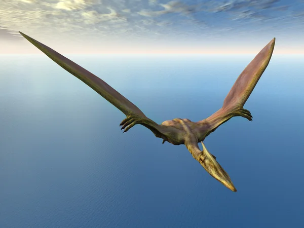 Летающих динозавров Quetzalcoatlus — стоковое фото