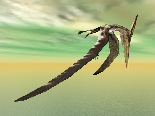 Летающих динозавров Pteranodon — стоковое фото