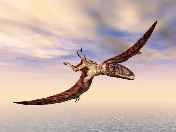Летающих динозавров Диморфодон — стоковое фото