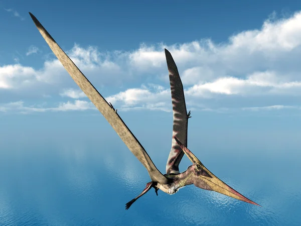 Летающих динозавров Pteranodon — стоковое фото