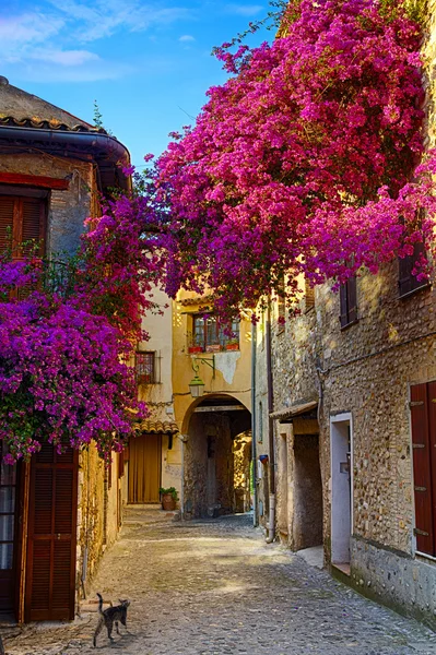 Художественный красивый старый город Прованса — стоковое фото