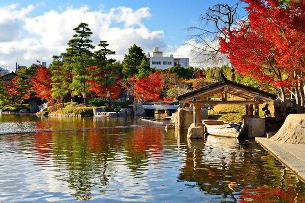 Осенью листва в Нагоя, Япония — стоковое фото