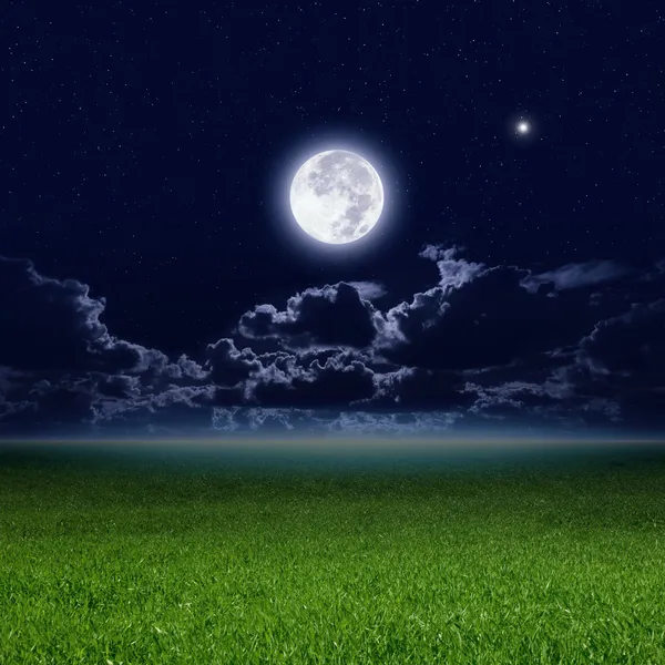 Полная Луна, зеленые поля — стоковое фото