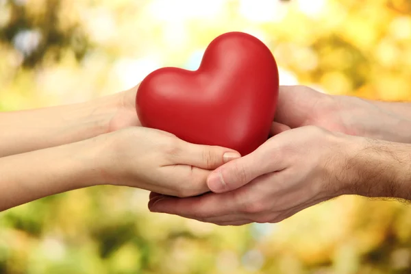 Красное сердце в руках мужчины и женщины, на зеленом фоне — стоковое фото