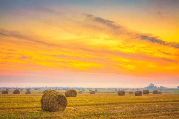 Восход поле, тюков сена в Беларуси — стоковое фото