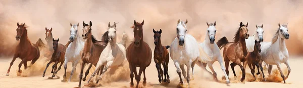 Табун лошадей, работающие на песчаной бури — стоковое фото