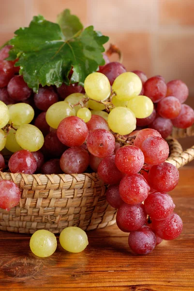 Пучки красного и зеленого винограда — стоковое фото