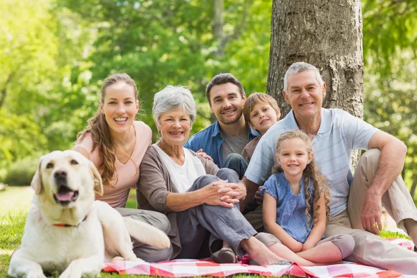 Расширенная семья с их собаку, сидя в парке — стоковое фото