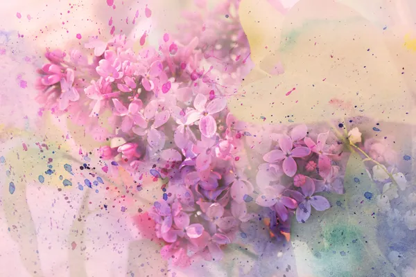Веточка сиреневые цветы и акварель брызги — стоковое фото