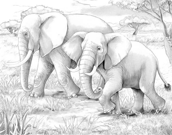 Сафари - слоны - окраска страницы - иллюстрация для детей — стоковое фото