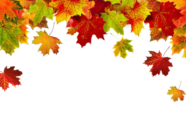 Границы рамки красочные осенние листья, изолированные на белом фоне — стоковое фото