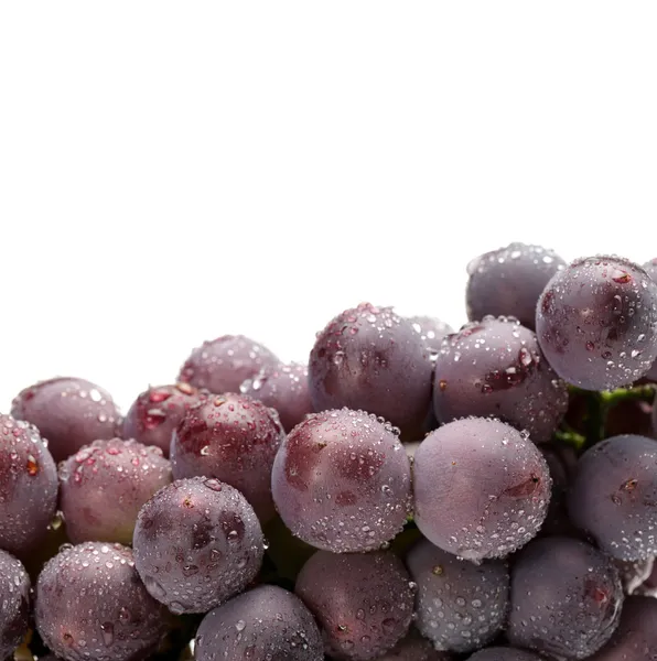 Виноград на белом фоне — стоковое фото