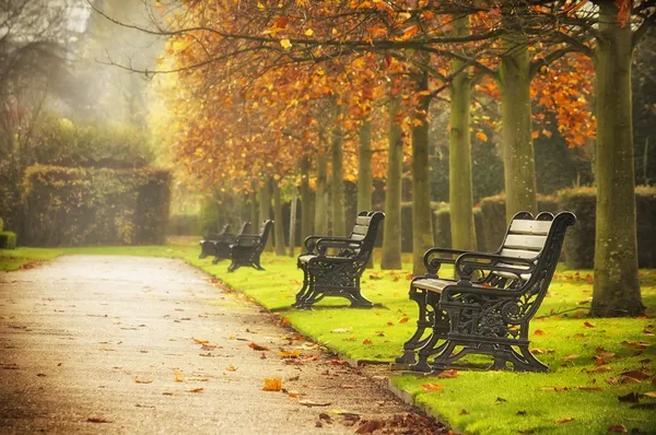 Скамейки в Осенний парк — стоковое фото