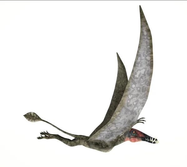 Dorygnathus полет динозавра фотореалистичных представление, сторона — стоковое фото