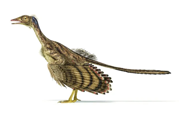 Фотореалистичных представление археоптерикса динозавра — стоковое фото