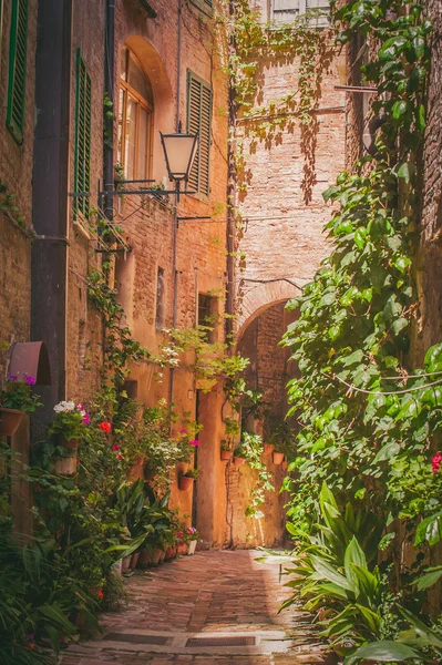 Улицы старый итальянский город Сиена — стоковое фото