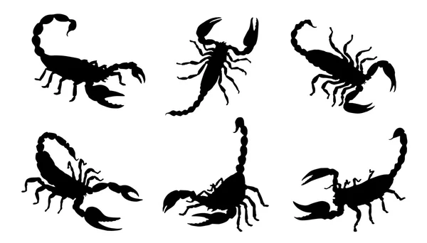 Силуэты скорпиона — стоковый вектор