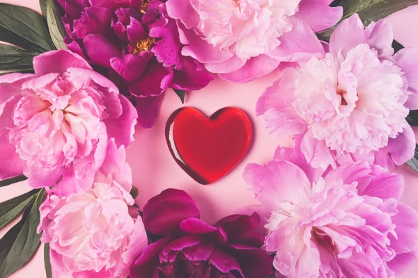 Розовый пион цветы и сердца — стоковое фото