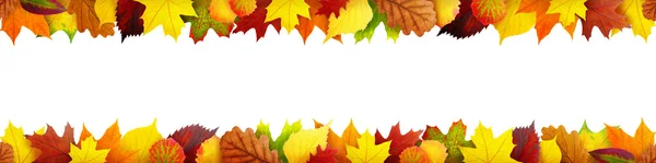 Бесшовные осенние листья кадра — стоковое фото